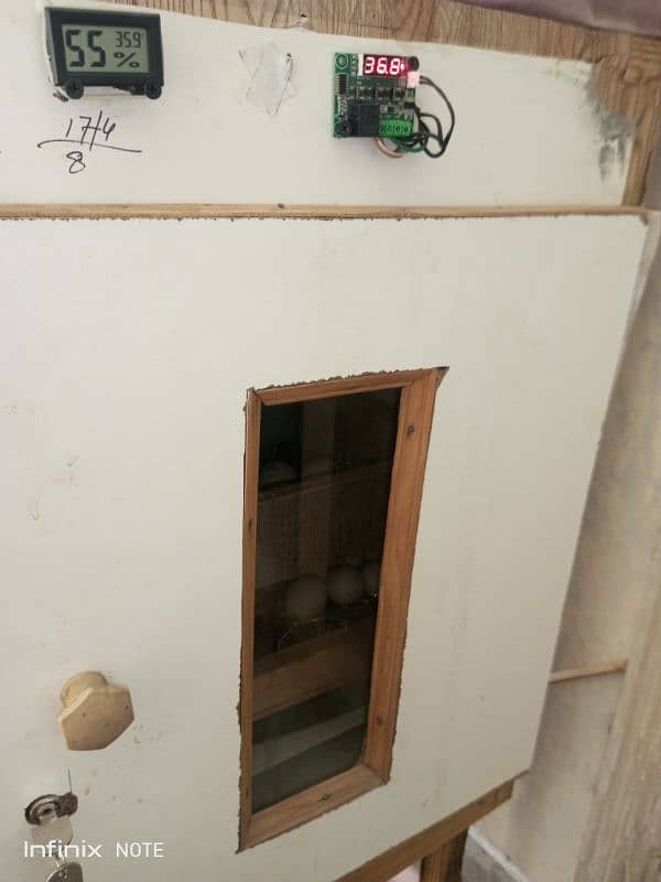 Silver Sebright for Sale Cage  3portion wood   Incubator 250 to 300egg 8