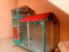 Beautiful Wooden Cage with 7 Healthy Parrots for Sale