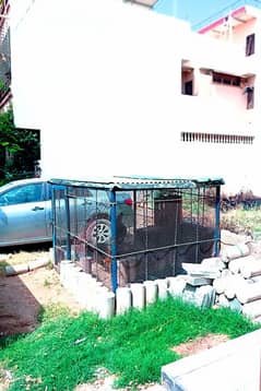 Huge heavy duty cage available