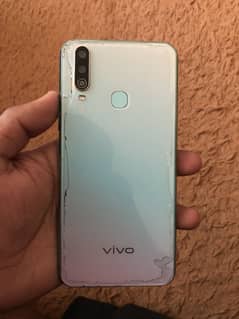 VIVO