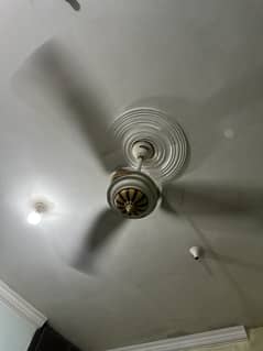 Parwas ceiling fan