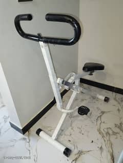 Elliptical, Squat Rowing Machine, Ski Stimulator