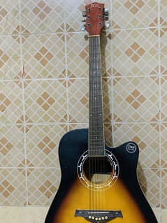 Acoustic Guitar