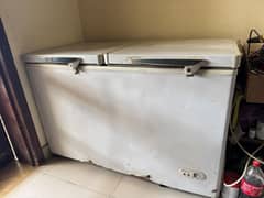 Double Door Freezer