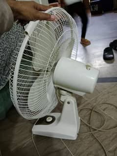 Ahmad  fan