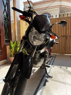 Suzuki 125