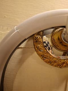 Ring light 36cm
