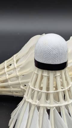 badminton shuttlecock