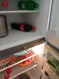 Pel Fridge