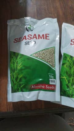seasame