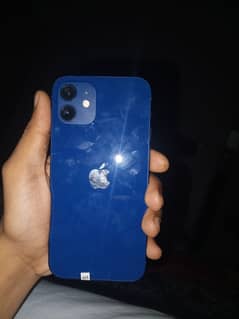 I phone 12