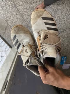 Adidas Spikes