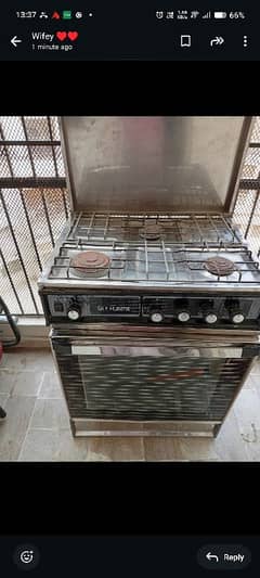 Sky flame gas oven