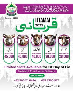 Qurbani hissa | ijtamai qurbani | اجتماعی قربانی 2025