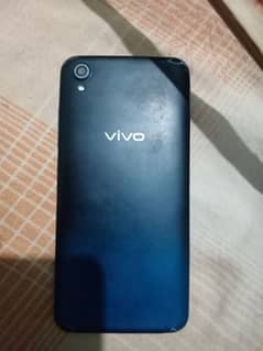 vivo