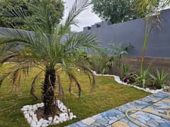 1 Kanal Luxury House For Rent In Bahria Town Lahore