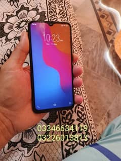 VIVO
