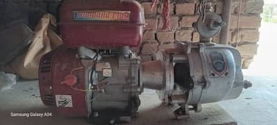 30
