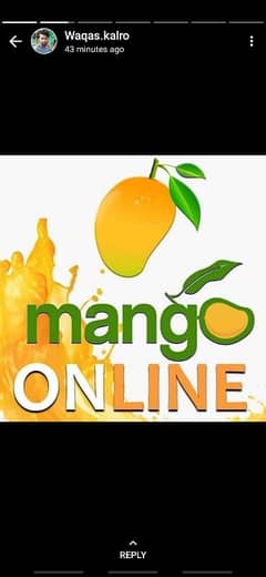 Mango