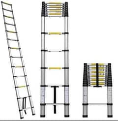 Telescopic Ladder