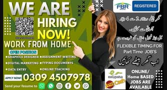 Data Entry /Assignment/part time/Online job/Writing job/ Home base job