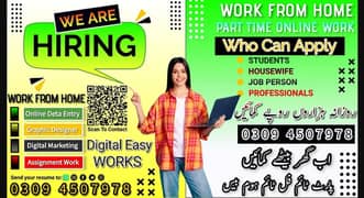Part Time Full Time Job / Typing job/Data Entry Job /Assignment Job