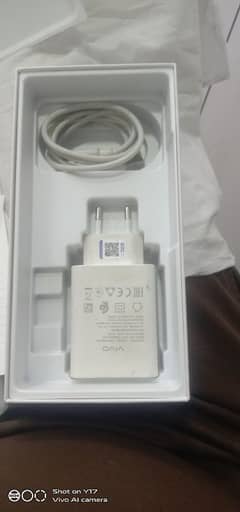 Vivo y19s