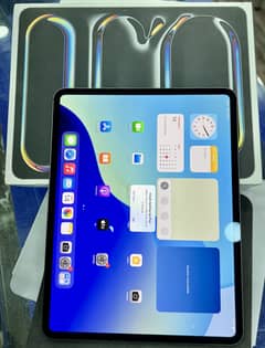 iPad Pro M4 / 13” / 256GB / Space Black / iPad Pro