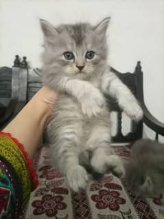 long