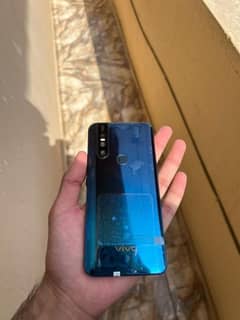 VIVO