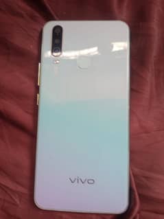 vivo