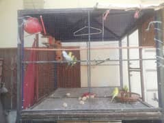 Hens Cages. . Birds cages