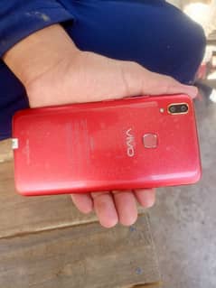 vivo
