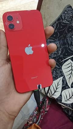 iphone 12 128gb pta approved