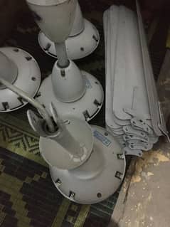 celling fans for sale pakfan