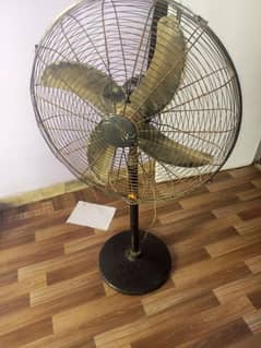 Fan