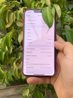 I phone 13 PTA APPROVED