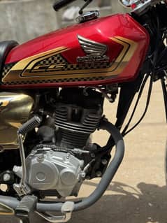 125 gold edition 2025