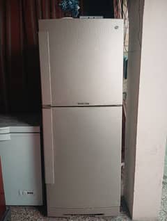 PEL DESIRE INFINITE || FULL SIZE REFRIGERATOR