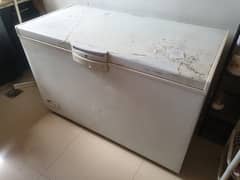 HAIER deep freezer