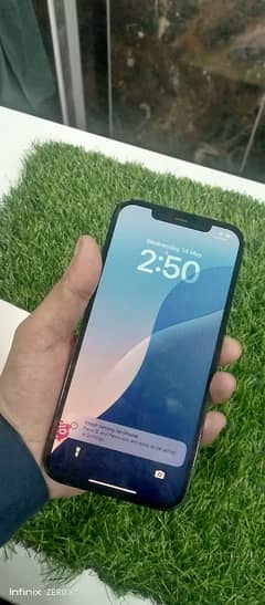 12 Pro max