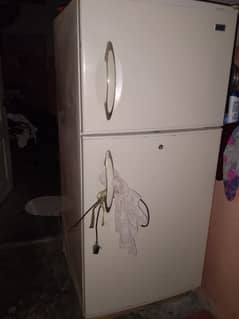 Haier refrigerator non frost