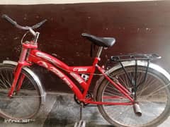 cycle