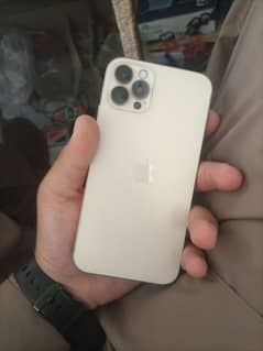 iphone 11 convert to 12 pro max