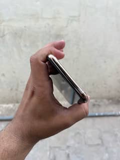 xs Max 64 Pta 10/10 bytree 78