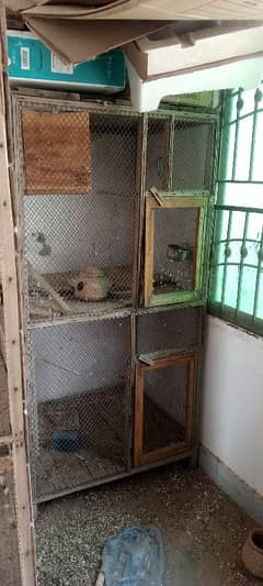 Jambo size mazboot cages available. . . java birds also available