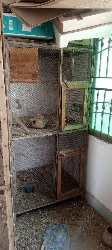 Jambo size mazboot cages available. . . java birds also available 0