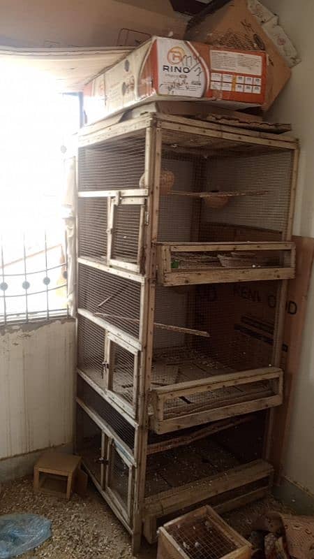 Jambo size mazboot cages available. . . java birds also available 1