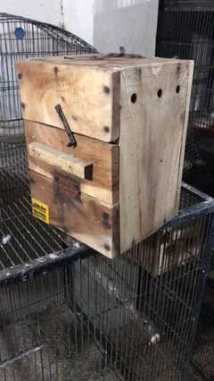 Love birds keekar box and iron cages