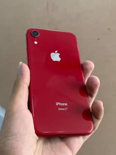 iPhone XR PTA x 11 12 13 14 15